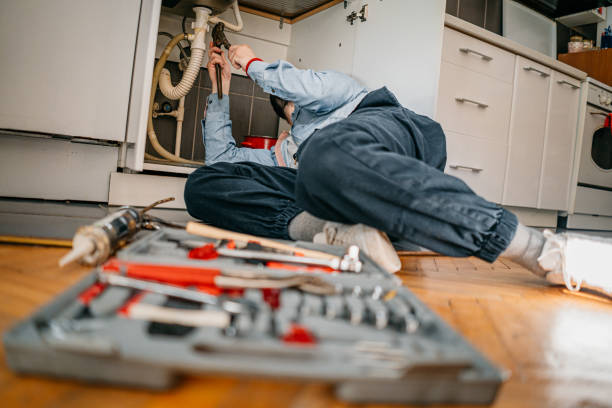 Best Leak Detection Services  in Faribault, MN