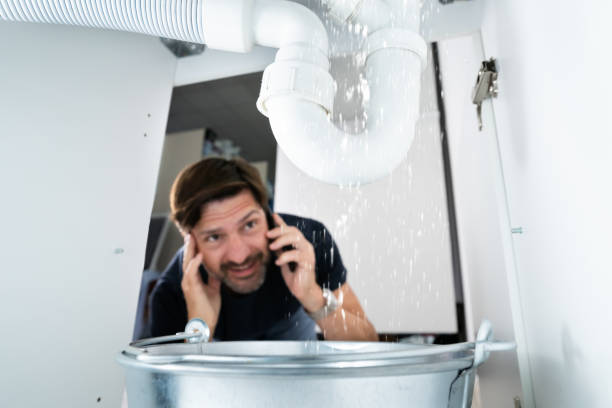 Best Plumbing Repair Near Me  in Faribault, MN