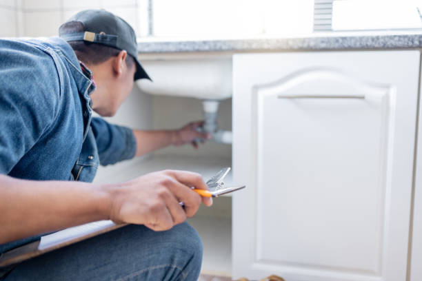 Best Faucet Repair  in Faribault, MN