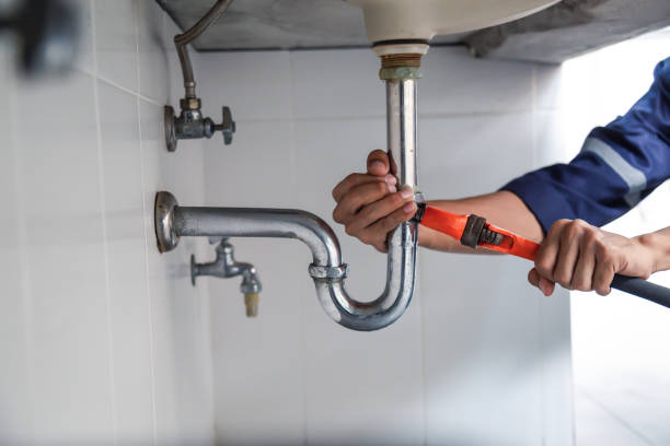 Best Plumbing Inspection Services  in Faribault, MN