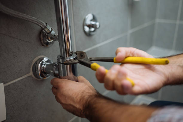 Best Toilet Repair Services  in Faribault, MN
