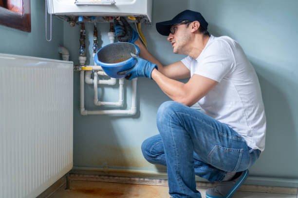 Best Septic Systems  in Faribault, MN
