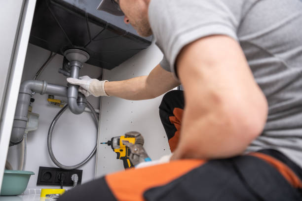 Best Local Plumber Services  in Faribault, MN